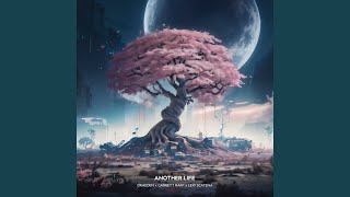 Another Life