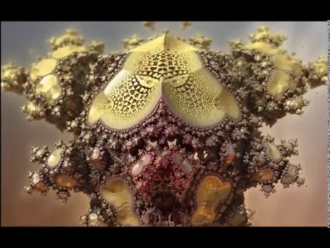 3D Fraktal - Video (38)