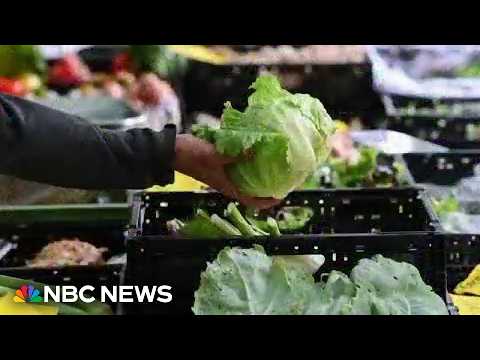 How the cyclospora outbreak is impacting the food industry
