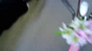 Longboard Love :: Sabrina "Lucy" :: Day 3