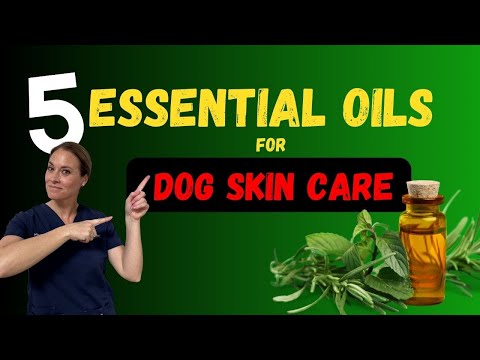 Top 5 Essential Oils for Dogs & Cats (Natural Wound Care)