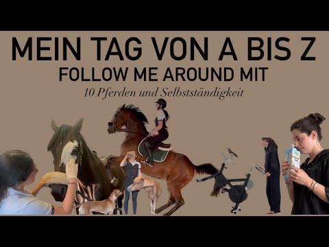 My day has 48 hours | FMA with zoo and self-employment