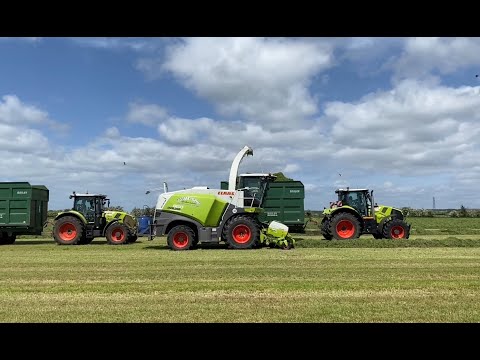 Cumbrian Silage 2023. All Claas fleet rake, chop, cart & clamp.
