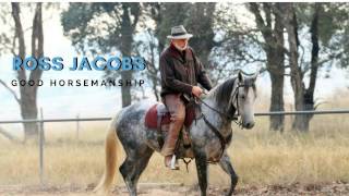 When A Horse Feels Worried - What To Do