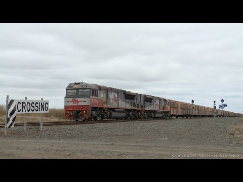 1PM9 SCT Boxcars & Containers (6/1/2021) - PoathTV Australian Trains & Railways