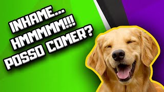 Cachorro pode comer Inhame | Dr. Edgard Gomes | Alimentação natural para Cães