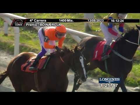 230813 c04 Hcp. Boina Roja/ BELLA GLORIA (BRZ)