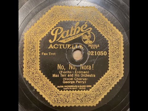 The Columbians "No, No, Nora" Columbia A3970 (1924) Roaring '20s flapper hot jazz Great Gatsby music