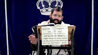 דף היומי עבודה זרה דף ס"ז ע"א ¤ הרב נתנאל אברז'ל ¤ בית הכנסת "בית מרדכי" (מוסדות תורת דוד) - התמונה מוצגת ישירות מתוך אתר האינטרנט יוטיוב. זכויות היוצרים בתמונה שייכות ליוצרה. קישור קרדיט למקור התוכן נמצא בתוך דף הסרטון דף היומי עבודה זרה דף ס"ז ע"א ¤ הרב נתנאל אברז'ל ¤ בית הכנסת "בית מרדכי" (מוסדות תורת דוד) - התמונה מוצגת ישירות מתוך אתר האינטרנט יוטיוב. זכויות היוצרים בתמונה שייכות ליוצרה. קישור קרדיט למקור התוכן נמצא בתוך דף הסרטון