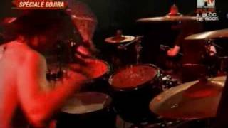 Gojira - Backbone (Live at Garorock Festival 2009)