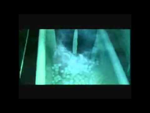 Thorpe Park Nemesis Inferno 2003 Advert