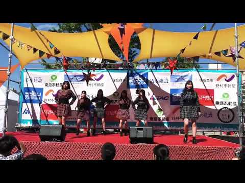 2018 ナカノ祭 k-pop cover "Mr. Chu" Apink