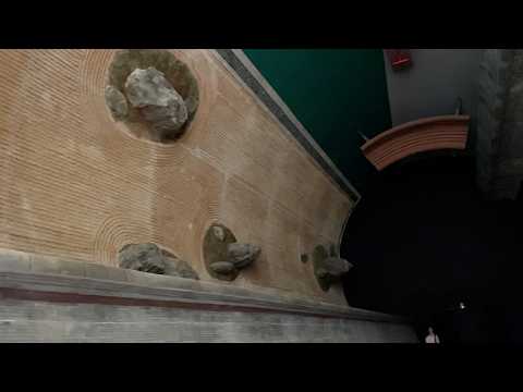 オーストラリアの傾斜地庭園耐性植物種