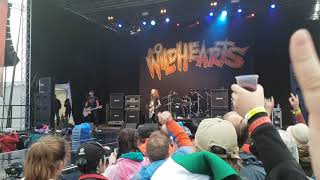 The Wildhearts TV Tan Steelhouse 2018