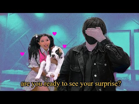 surprising my best friend levi with his dream puppy...