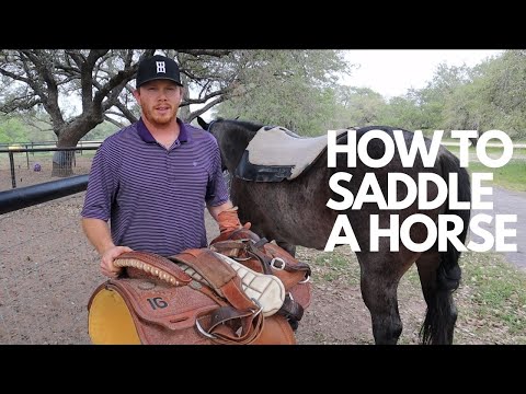 HOW TO SADDLE A HORSE // WESTERN & ENGLISH.