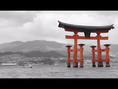 THE JAPAN SONG feat. Shloime Daskal and Avrohom Fried