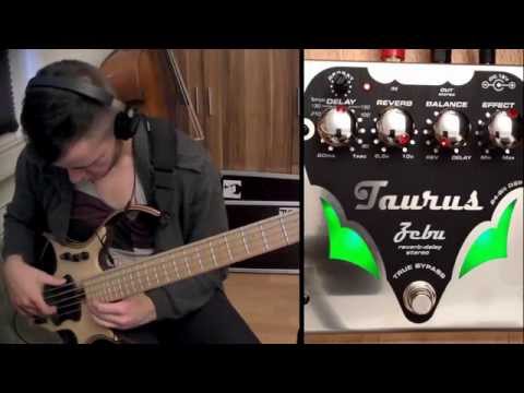 Taurus Zebu Reverb-Delay Stereo image 4