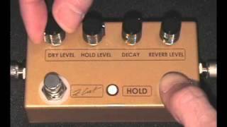 Video thumbnail for ZCAT - HOLD - REVERB Pedal by ZCAT Pedals