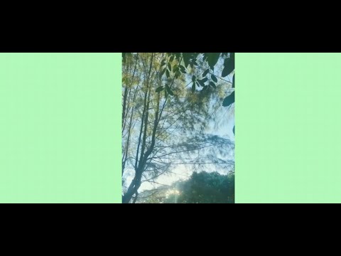 JKT 48 - Rapsodi ( Vitho Wattimena Cover )