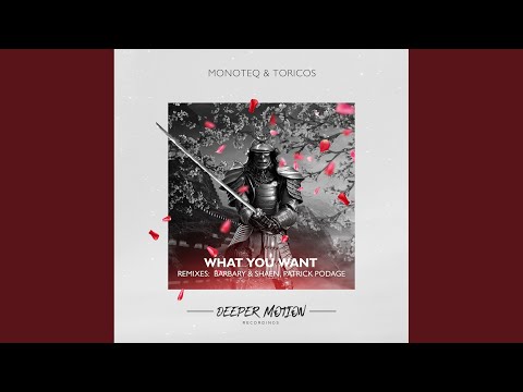 What You Want (Barbary & Shaen Remix)