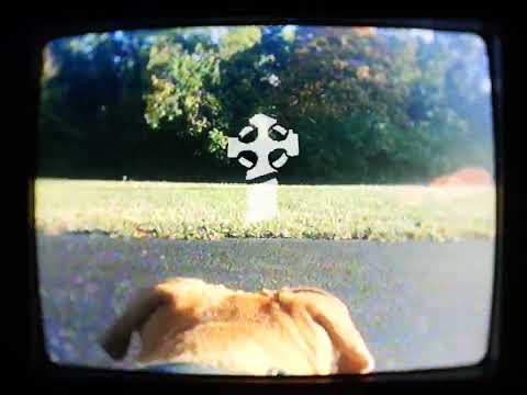 Video thumbnail for I Killed Your Dog