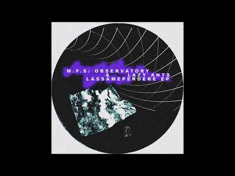PREMIERE: M.F.S: Observatory & Lazy Ants - Time 128 (Original Mix) [Kneaded Pains]