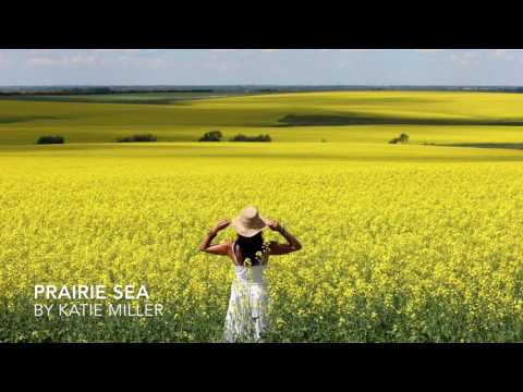 Katie Miller - Prairie Sea