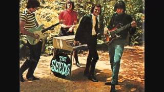 Seeds - The wind blows your hair