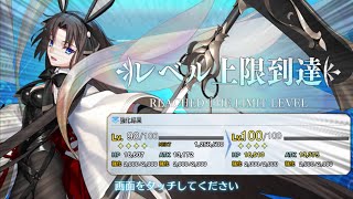 【FGO】俺が水着の嫁を手に入れてから刺されかけるまでの動画【カルデアU-サマーアイランド 玉兎ピックアップ召喚】
