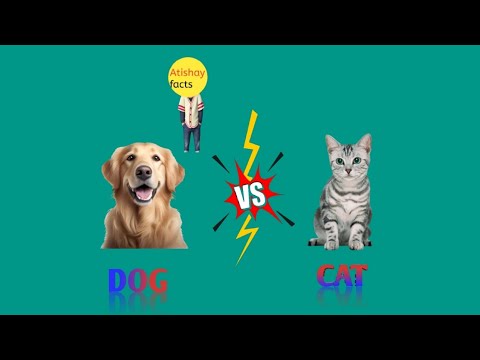 Dog VS Cat ❓#shorts