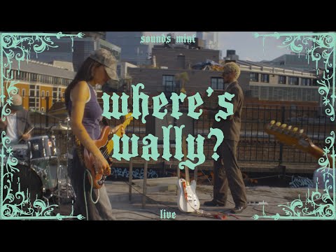 sounds mint - Where's Wally? (Live from Jealous Studios - London)