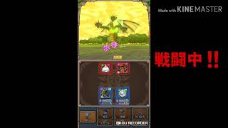 【テリワン生声実況】ほむらの扉-黄金郷-入手魔物とは⁉️part20