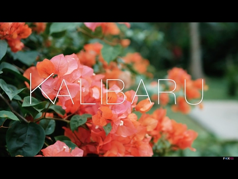 #5 Kalibaru | FOX reiziger Ilya in Indonesië