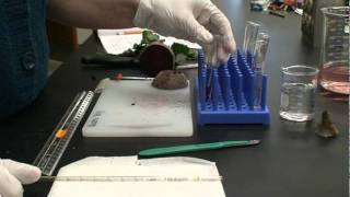 Cell Membrane Stress Pre-Lab Video Lecture