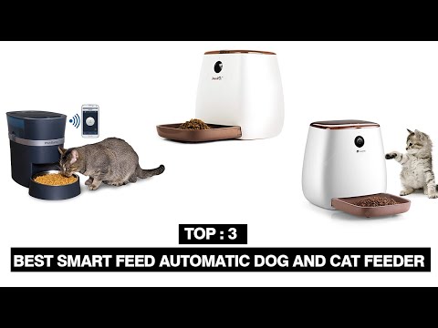 Top 3: Best Smart Feed Automatic Dog and Cat Feeder 2021 || Pets Ben