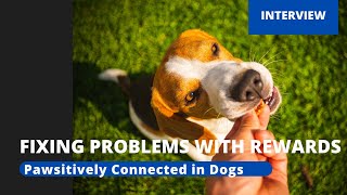 How to Reward Your Dog to Fix Problems