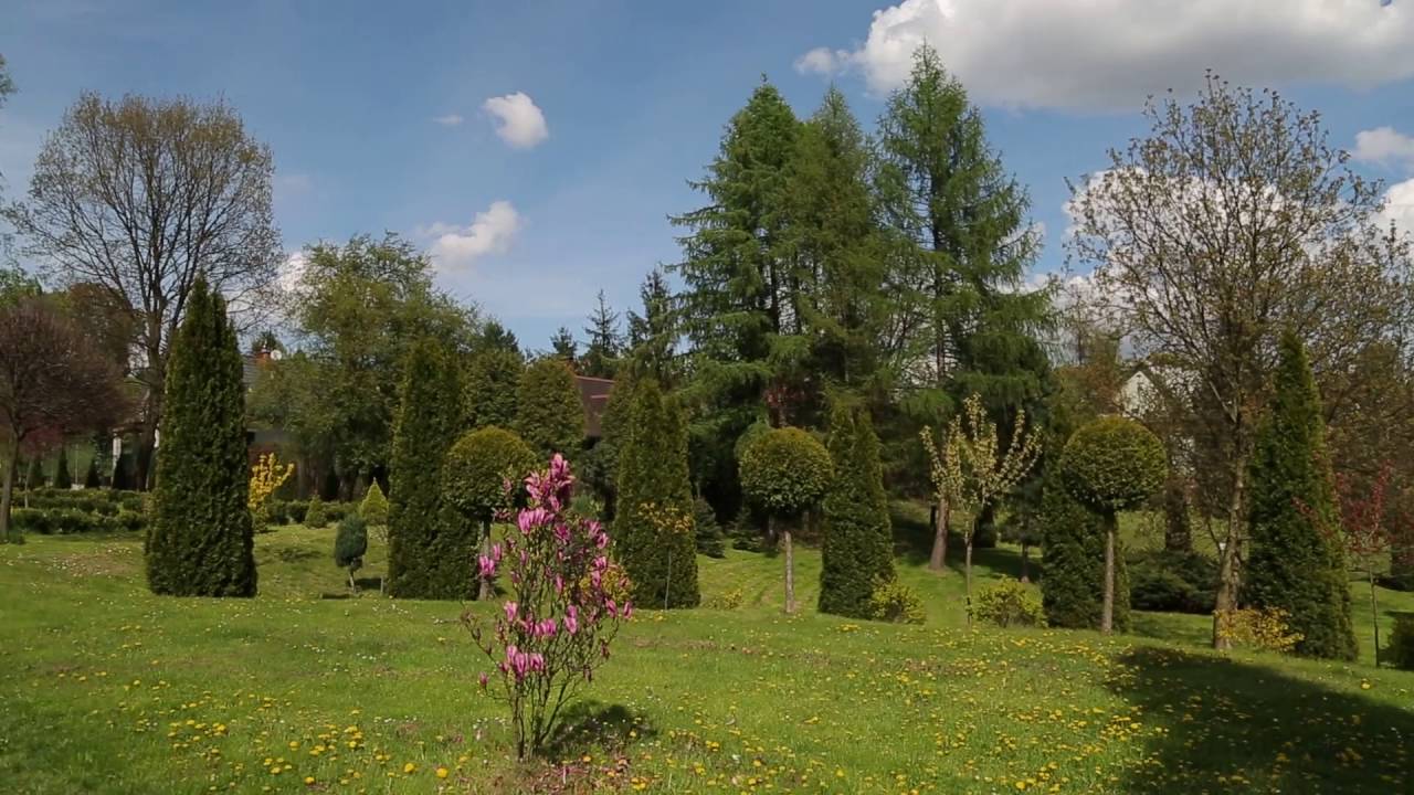 Małgorzata Ornatowska-25