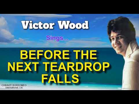 BEFORE THE NEXT TEARDROP FALLS - Victor Wood (with Lyrics)