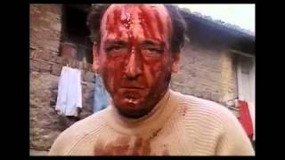 Max Fadini - Un gatto nel cervello