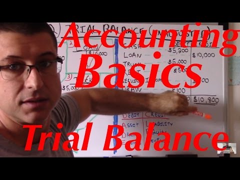 Accounting For Beginners #22 / Trial Balance Unadjusted / Accounting Basics