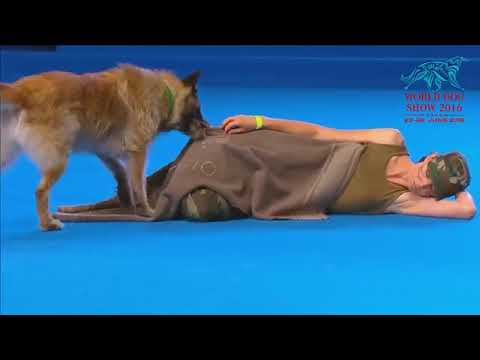 FCI Dog dance World Championship 2016 – Free style