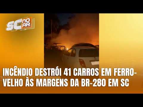 Incêndio destrói ferro-velho com 41 carros às margens da BR-280 em SC