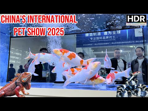 Inside Asia's LARGEST Exotic Pet Marketplace |CIPS- China International Pet Show [4K Walk Tour 2025]