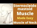 Sternocleidomastoid muscle anatomy | Wry neck | Torticollis | sternocleidomastoid test |