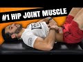 How to Treat, Massage, Stretch & Strengthen Your Psoas Muscle hip flexor
