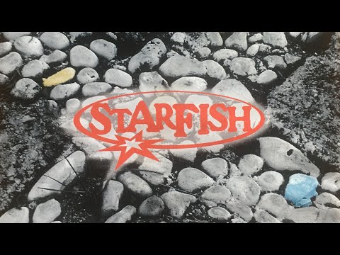 Suza klauna - Starfish