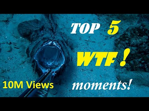 😲TOP 5 WTF moments📹CAUGHT on VIDEO