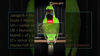 Download lagu Cucak ijo gacor.. dan efek EF #shorts mp3 Download lagu Cucak ijo gacor.. dan efek EF #shorts mp3