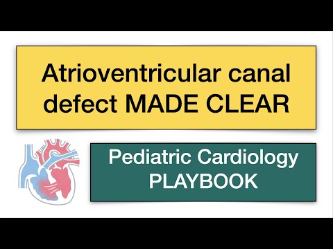 [5 mins] Atrioventricular (AV)  canal defect MADE CLEAR by Pediatric Cardiology PLAYBOOK